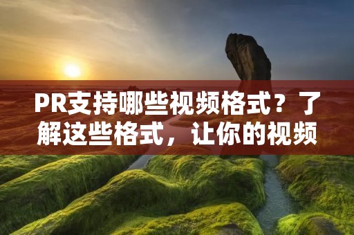 PR支持哪些视频格式？了解这些格式，让你的视频更好地传播！