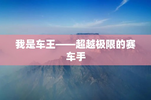 我是车王——超越极限的赛车手