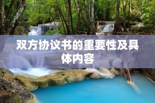 双方协议书的重要性及具体内容