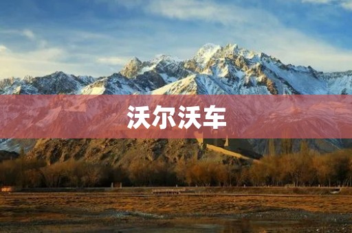 沃尔沃车：安全与品质的代表