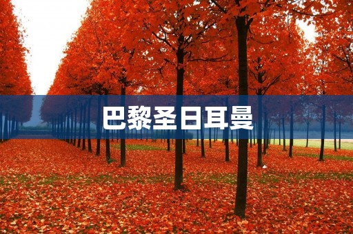 巴黎圣日耳曼:欧洲足坛的新贵 巴黎圣日耳曼:欧洲足坛的新贵