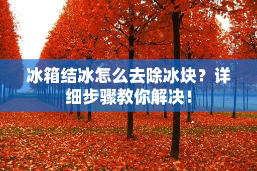冰箱结冰怎么去除冰块?详细步骤教你解决! 冰箱结冰怎么去除冰块?详细步骤教你解决!