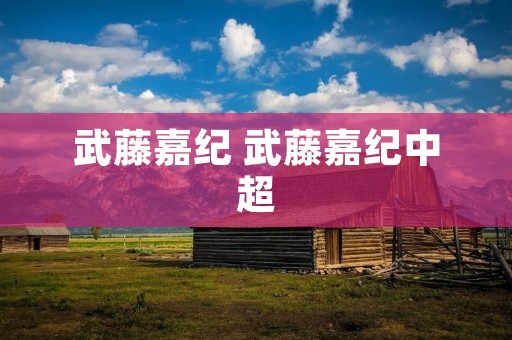 武藤嘉纪 武藤嘉纪中超 武藤嘉纪 武藤嘉纪中超