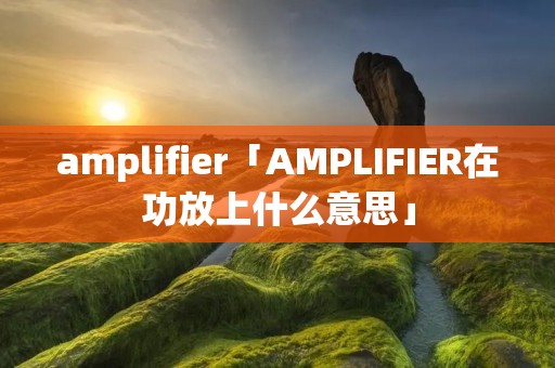 amplifier「AMPLIFIER在功放上什么意思」 amplifier「AMPLIFIER在功放上什么意思」