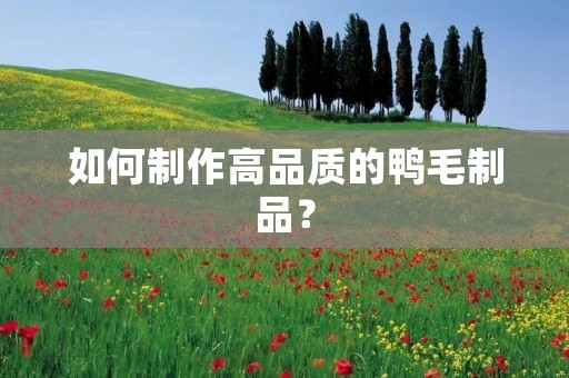 如何制作高品质的鸭毛制品? 如何制作高品质的鸭毛制品?