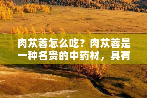肉苁蓉怎么吃?肉苁蓉是一种名贵的中药材,具有补肾壮阳、抗衰老、增强免疫力等功效,广泛应用于中医临床治疗。除了作为药材使用外,肉苁蓉还可以作为保健品和食品使用。那么,肉苁蓉怎么吃才能发挥最好的功效呢? 肉苁蓉怎么吃?肉苁蓉是一种名贵的中药材,具有补肾壮阳、抗衰老、增强免疫力等功效,广泛应用于中医临床治疗。除了作为药材使用外,肉苁蓉还可以作为保健品和食品使用。那么,肉苁蓉怎么吃才能发挥最好的功效呢?
