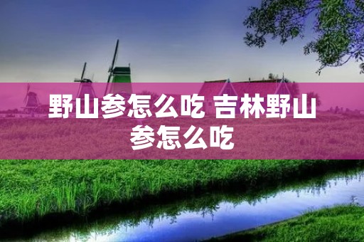 野山参怎么吃 吉林野山参怎么吃