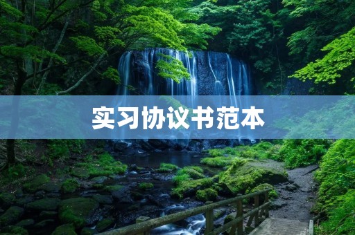 实习协议书范本