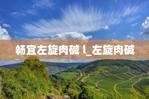 畅宜左旋肉碱 l_左旋肉碱