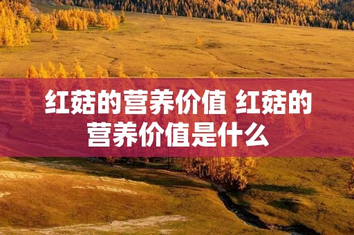 红菇的营养价值 红菇的营养价值是什么 红菇的营养价值 红菇的营养价值是什么