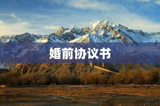 婚前协议书:保障婚姻财产的安全