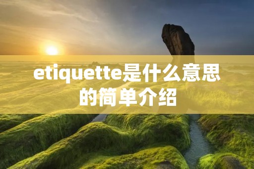 etiquette是什么意思的简单介绍 etiquette是什么意思的简单介绍
