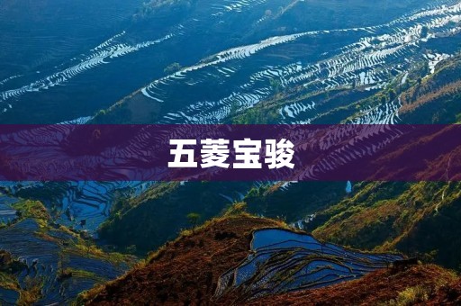 五菱宝骏:国民车之光 五菱宝骏:国民车之光