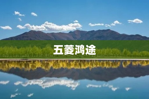 五菱鸿途：颠覆传统商用车的卓越之作