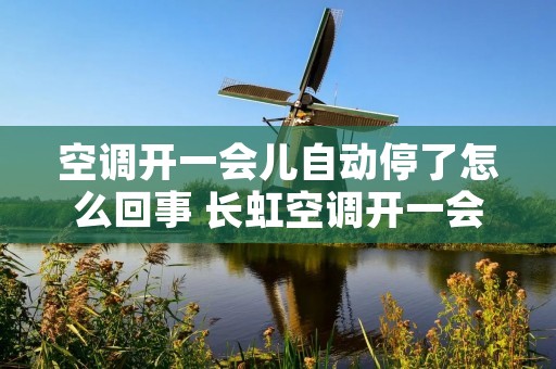 空调开一会儿自动停了怎么回事 长虹空调开一会儿自动停了怎么回事 空调开一会儿自动停了怎么回事 长虹空调开一会儿自动停了怎么回事