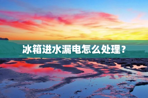 冰箱进水漏电怎么处理? 冰箱进水漏电怎么处理?