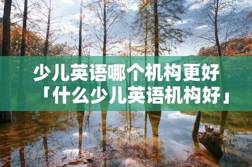 少儿英语哪个机构更好「什么少儿英语机构好」