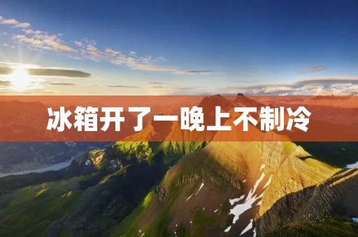 冰箱开了一晚上不制冷：原因分析与解决方案