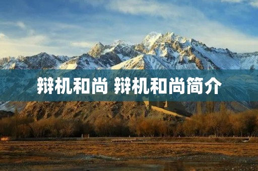 辩机和尚 辩机和尚简介