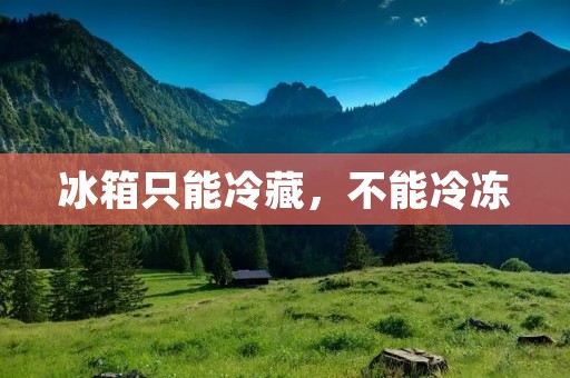 冰箱只能冷藏，不能冷冻