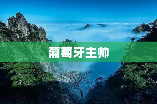 葡萄牙主帅:C罗和我对输球最失望
