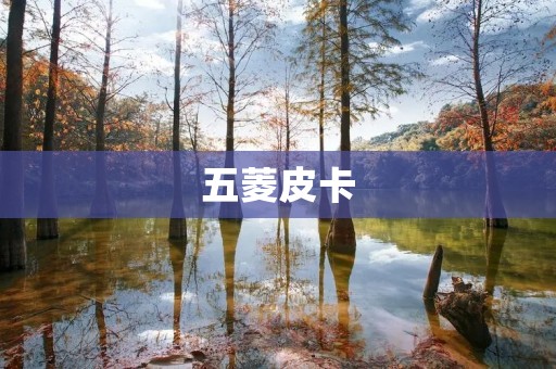 五菱皮卡:国民级实用车型 五菱皮卡:国民级实用车型