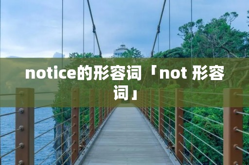 notice的形容词「not 形容词」