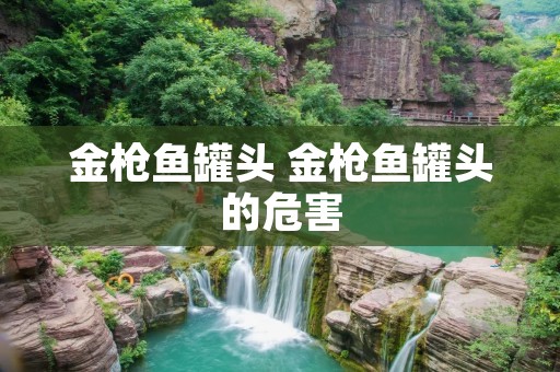 金枪鱼罐头 金枪鱼罐头的危害