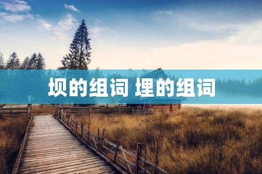 坝的组词 埋的组词