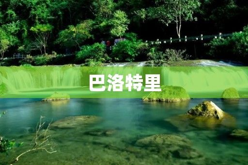巴洛特里：重新定义城市交通的未来