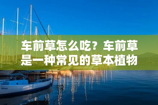车前草怎么吃?车前草是一种常见的草本植物,也是一种常见的中药材。它的功效非常多,可以清热解毒、利尿消肿、清热解毒、通便利尿等。那么,车前草怎么吃呢?下面就来详细介绍一下。 车前草怎么吃?车前草是一种常见的草本植物,也是一种常见的中药材。它的功效非常多,可以清热解毒、利尿消肿、清热解毒、通便利尿等。那么,车前草怎么吃呢?下面就来详细介绍一下。