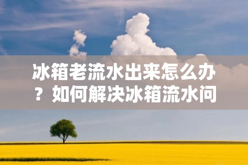 冰箱老流水出来怎么办？如何解决冰箱流水问题？