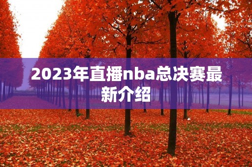 2023年直播nba总决赛最新介绍