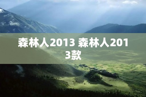 森林人2013 森林人2013款