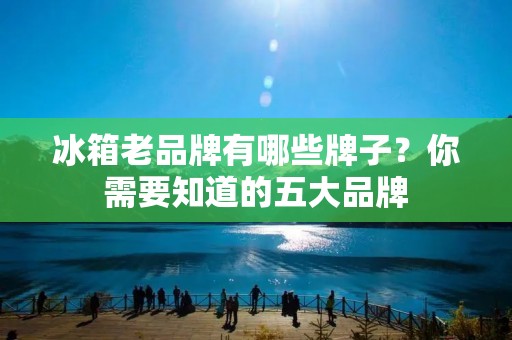冰箱老品牌有哪些牌子？你需要知道的五大品牌