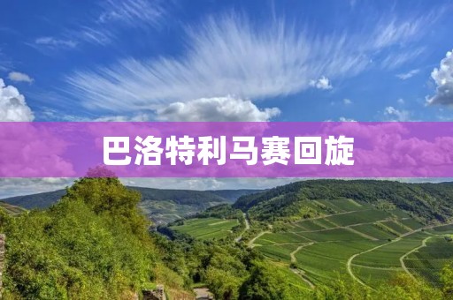 巴洛特利马赛回旋:当“坏小子”成为英雄 巴洛特利马赛回旋:当“坏小子”成为英雄