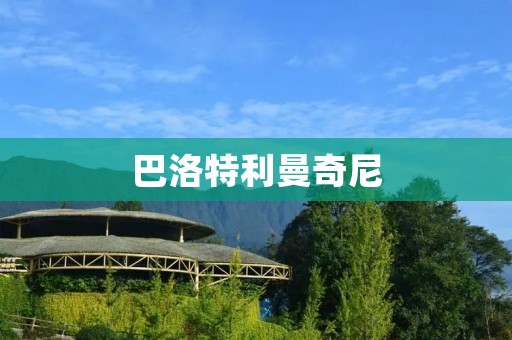 巴洛特利曼奇尼:意大利足球的两大争议人物 巴洛特利曼奇尼:意大利足球的两大争议人物