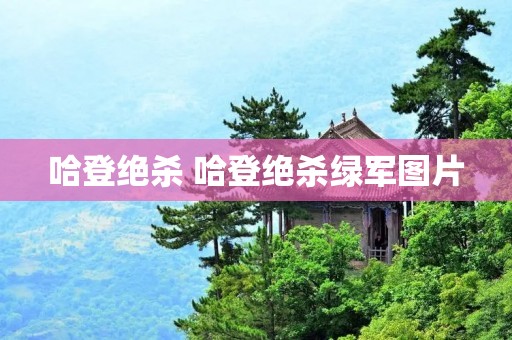 哈登绝杀 哈登绝杀绿军图片