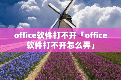 office软件打不开「office软件打不开怎么弄」