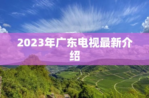 2023年广东电视最新介绍