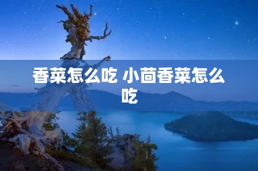香菜怎么吃 小茴香菜怎么吃