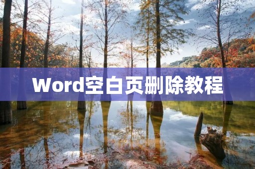 Word空白页删除教程：如何快速删除多余的空白页？