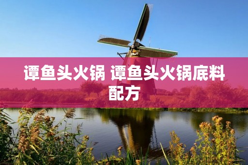 谭鱼头火锅 谭鱼头火锅底料配方