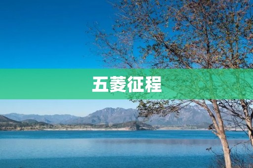 五菱征程：中国汽车产业的佼佼者