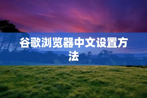 谷歌浏览器中文设置方法