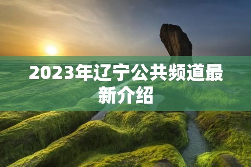 2023年辽宁公共频道最新介绍