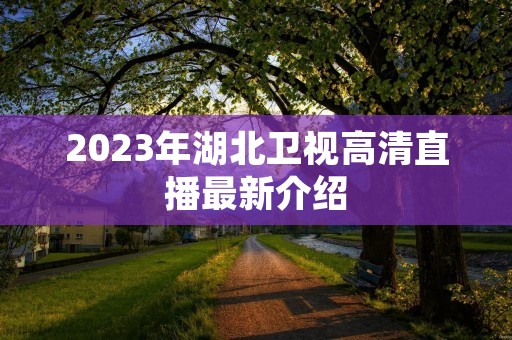 2023年湖北卫视高清直播最新介绍