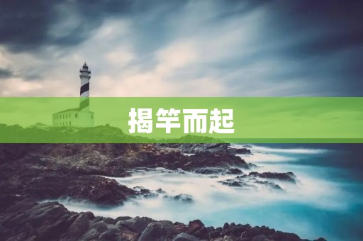 揭竿而起：一个人的冒险之旅