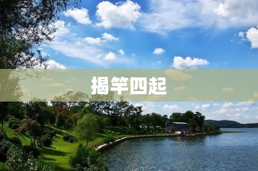 揭竿四起：民间抗争的历史与现实