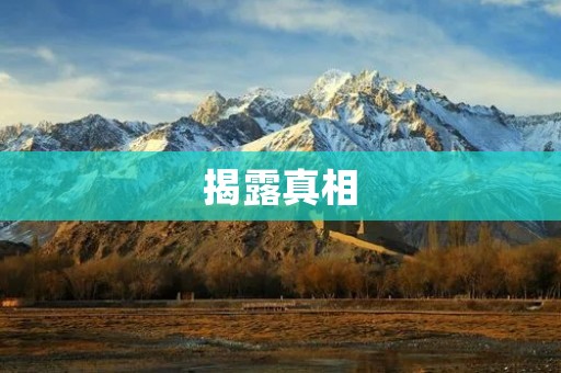 揭露真相:一场关于网络谣言的真相之战 揭露真相:一场关于网络谣言的真相之战